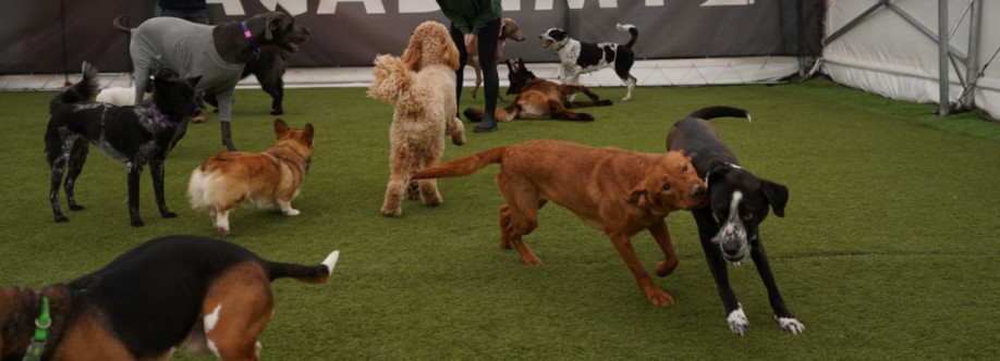 Academy Day Care Cover Image