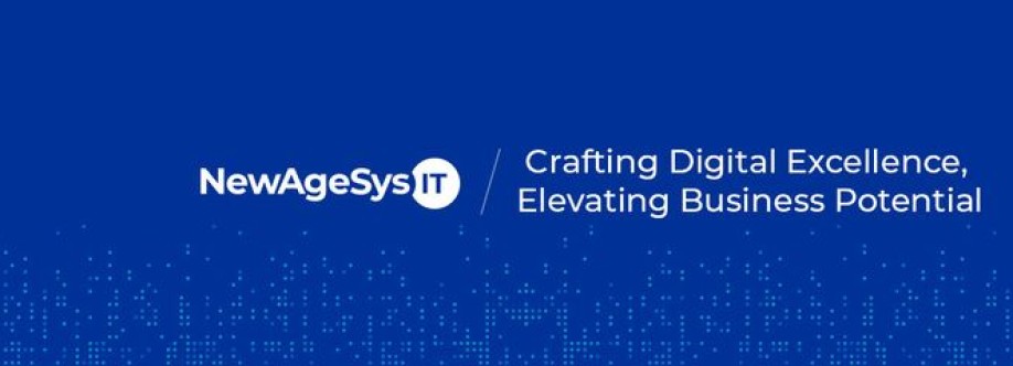 NewAgeSys IT Cover Image