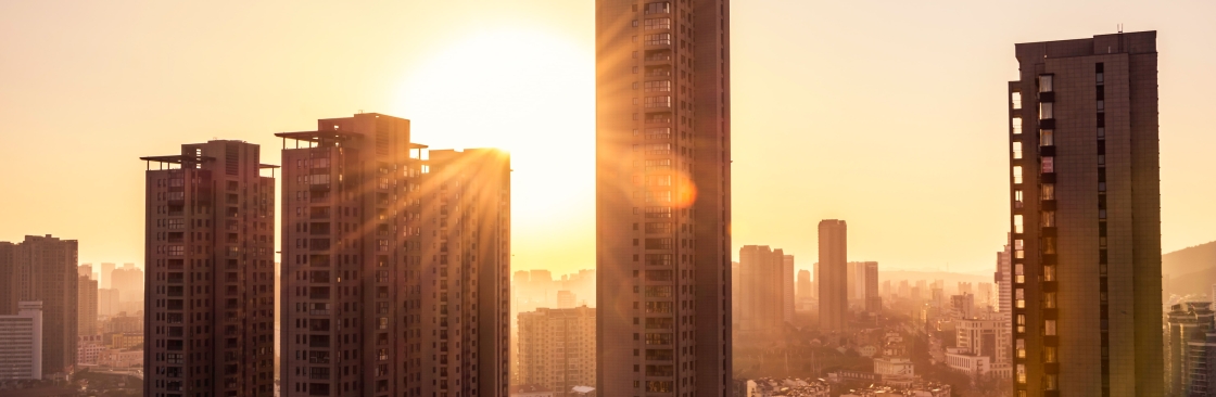 Central Park Cover Image