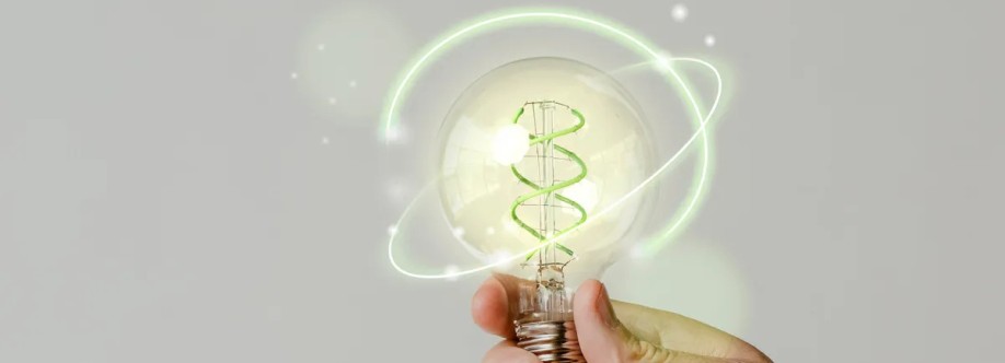 Jeroen NL Cover Image