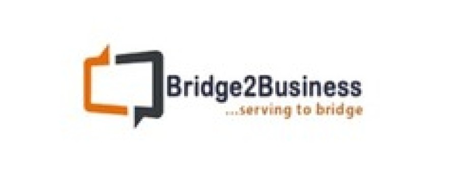 bridge2 busines Cover Image