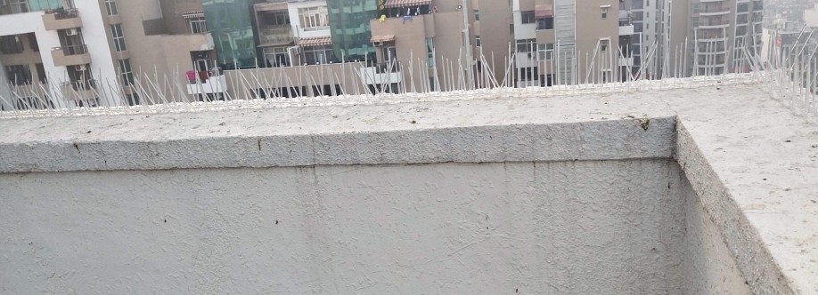 Netn Spike Cover Image