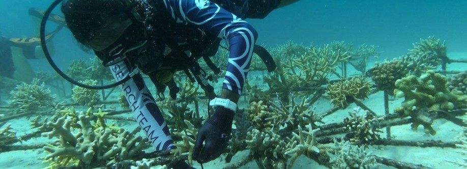 Eco Hero Nusa Cover Image