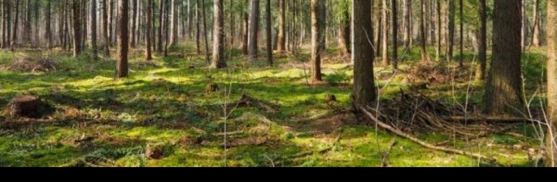 Bear Claw Land Services Cover Image