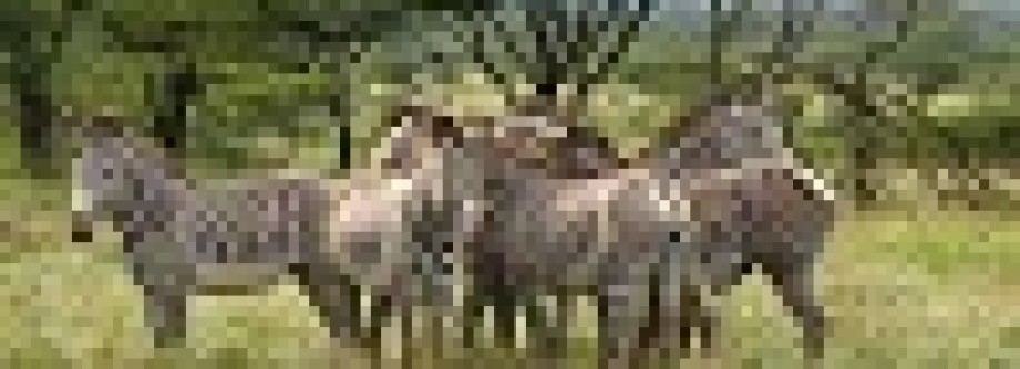 Bushtroop Tours & Safaris Cover Image