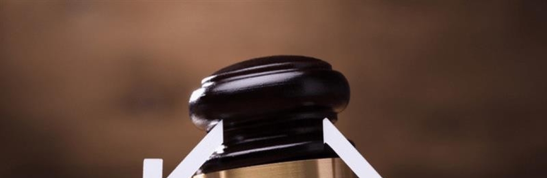 Schnauer and Co Limited Cover Image