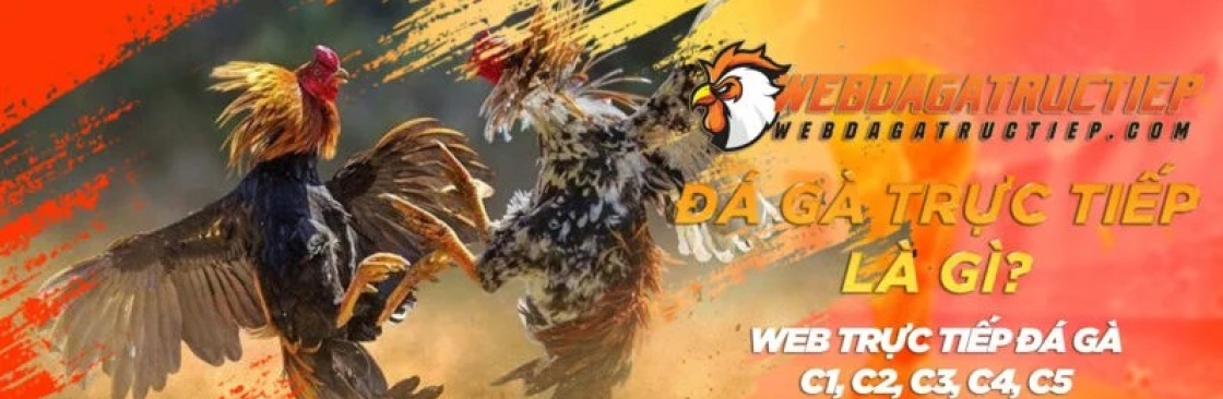 Web Đá Gà Trực Tiếp Cover Image
