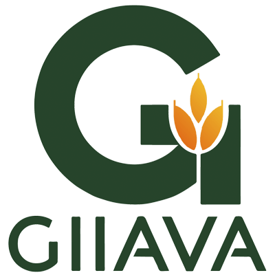 Soya Lecithin Powder - Giiava