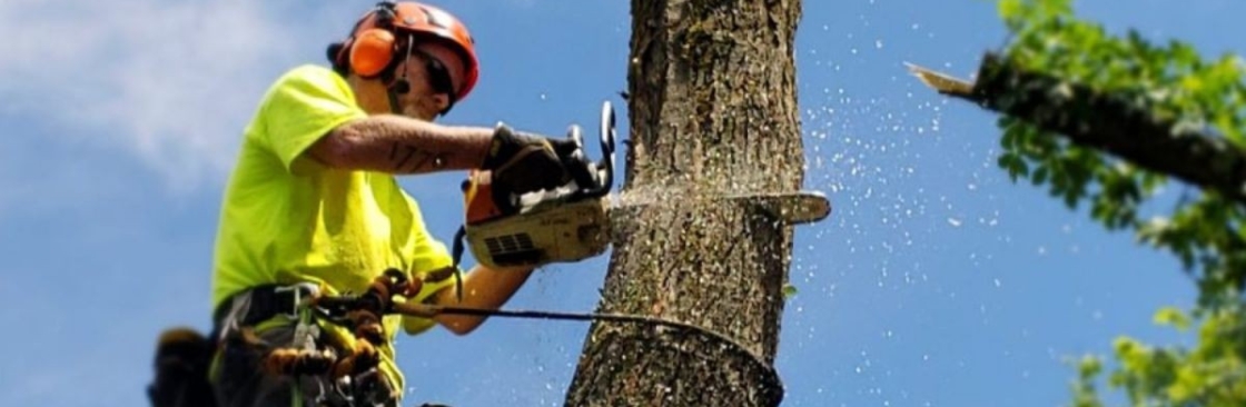 Jdstrees Cover Image