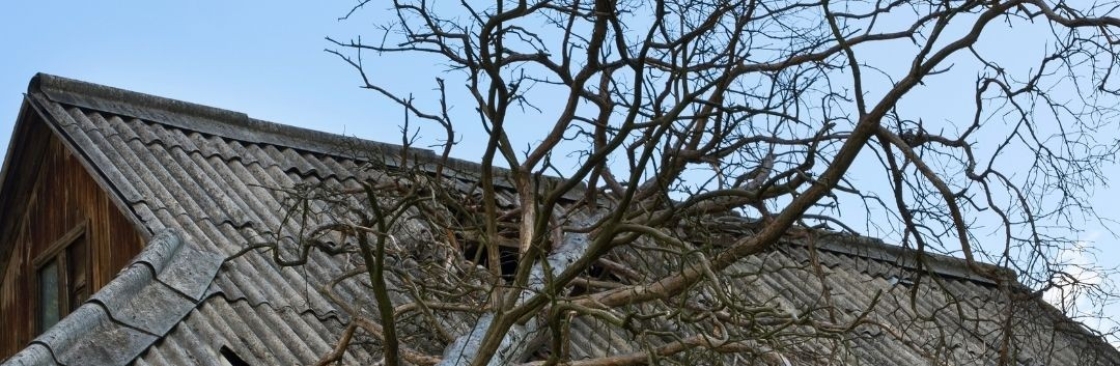 Cavalry Construction and Restoration Cover Image