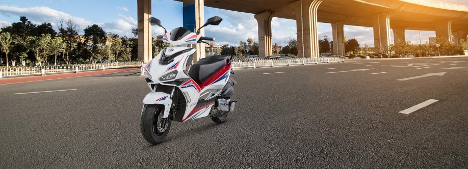 Taizhou Wangye Motorcycle LLC Cover Image