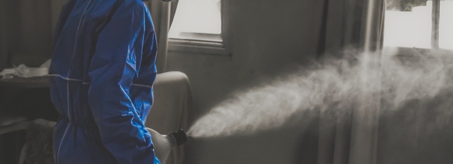 Harry Son Cover Image