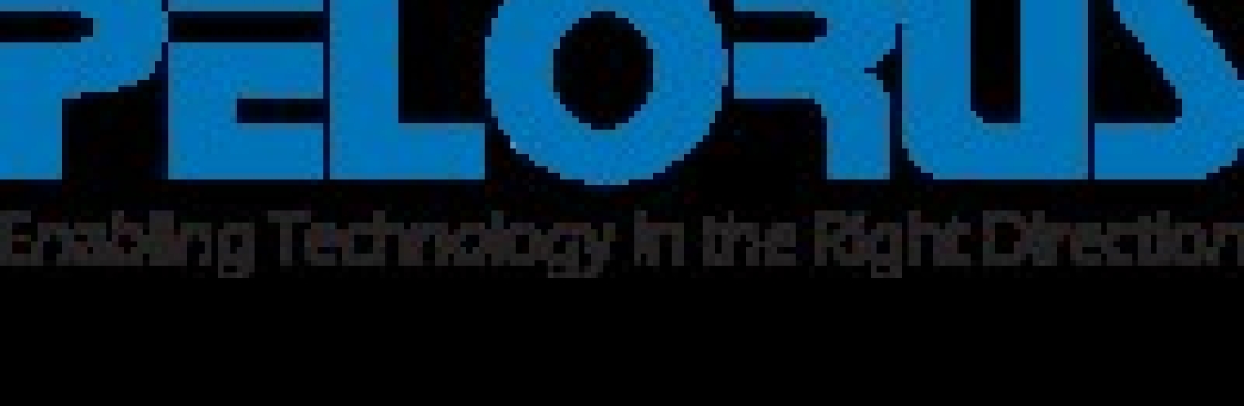 Pelorus Technologies Cover Image