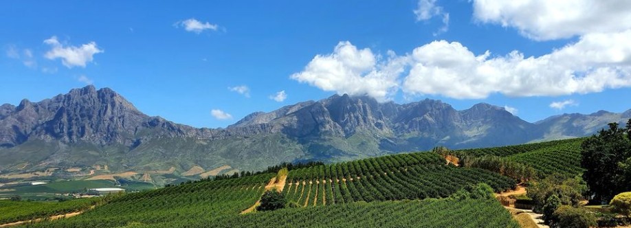 valleygrapes GmbH Cover Image