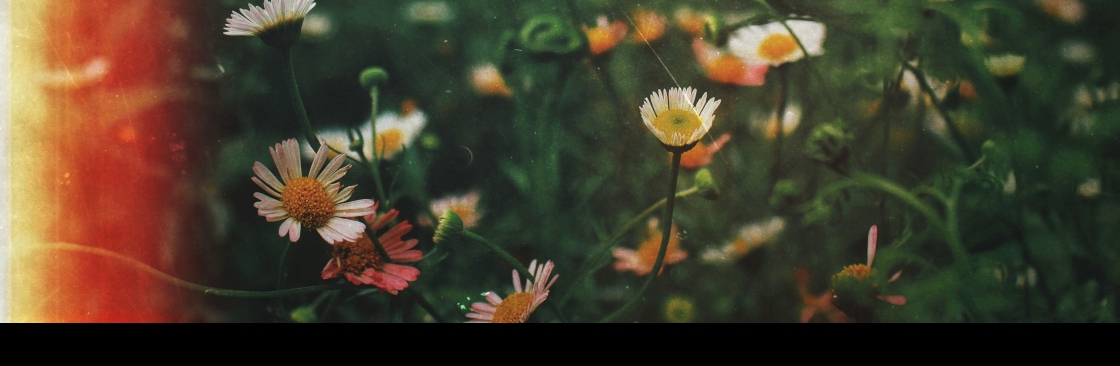 Samantha Miller Cover Image