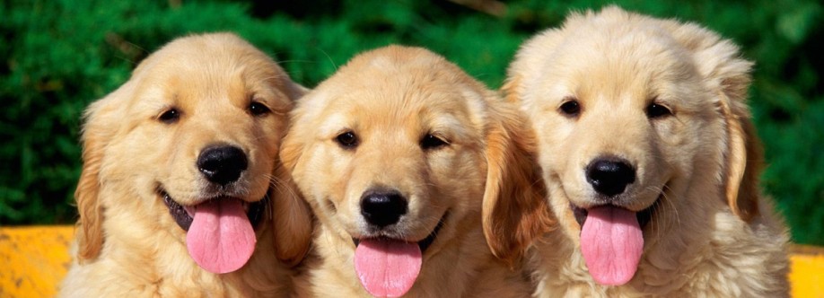 Our Pet Warehouse Cover Image