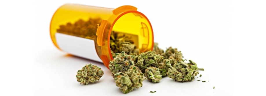 Bronx NY Medical 420 Doctors Cover Image