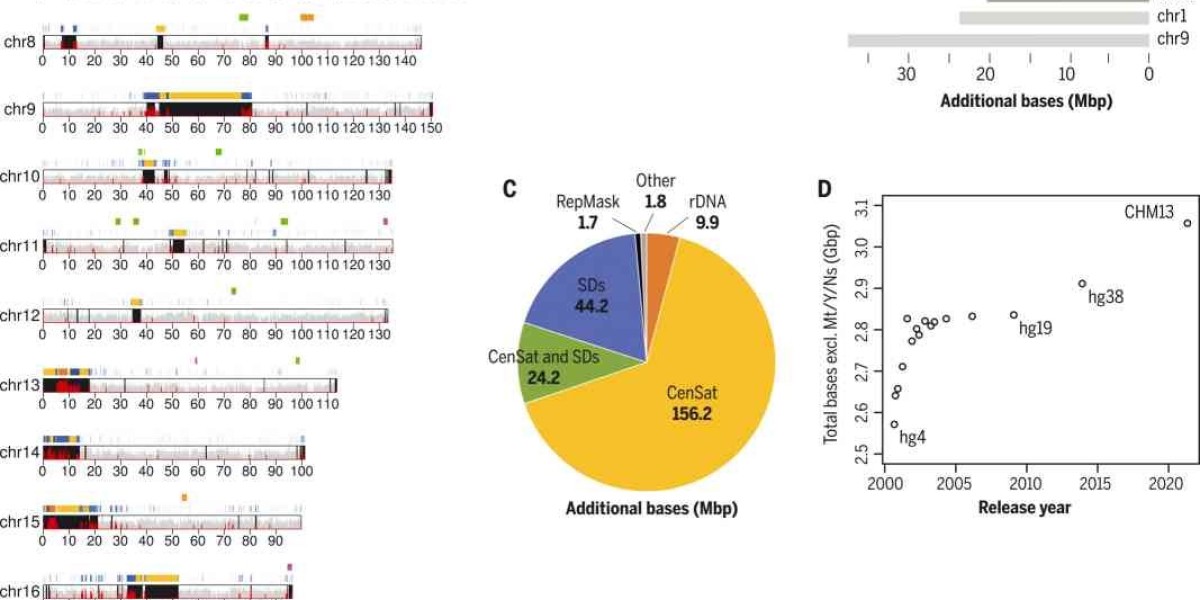 Introduction to The Complete Sequence of a Human Genome