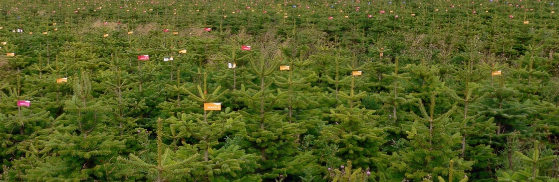 Country Business Cover Image