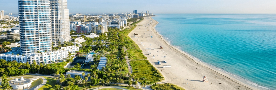 Flamingo Bus Miami Cover Image