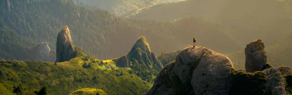 Jigeesha Pandya Cover Image