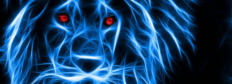 Cocokick Shoes Cover Image