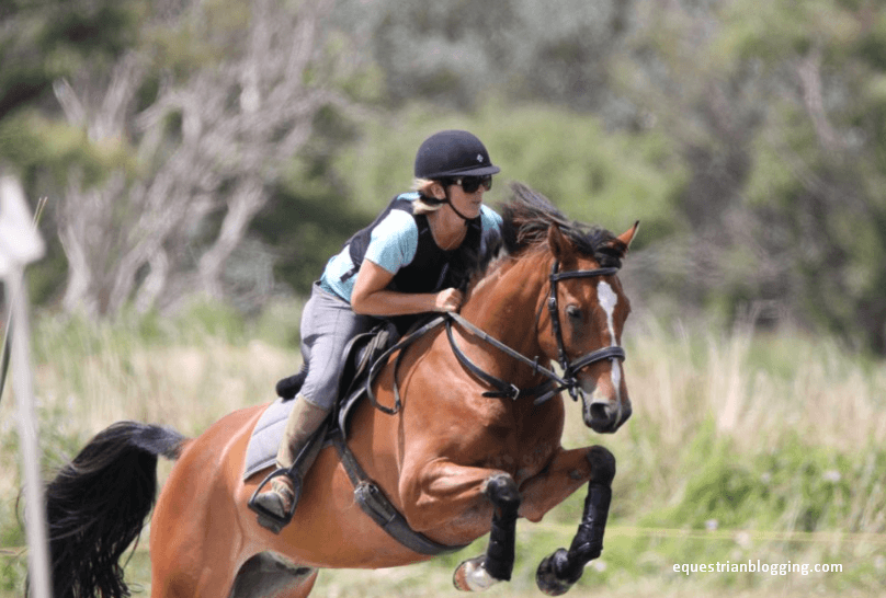 Showcross: Master the Mesmerizing Mix - Equestrian Blogging