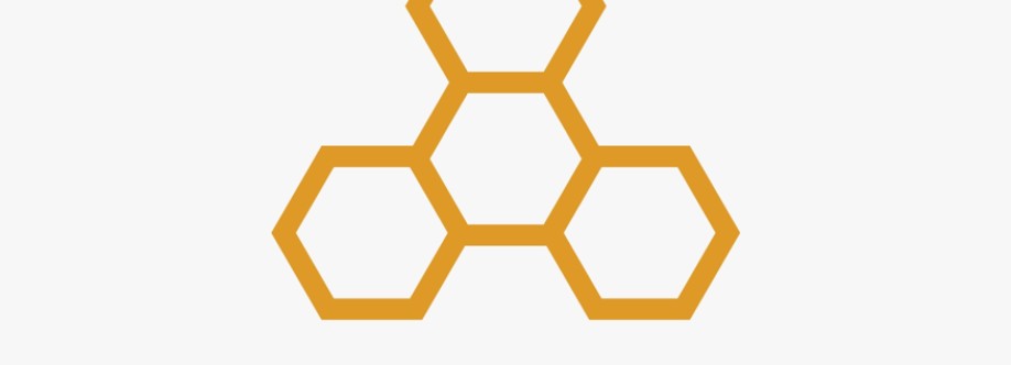 Dynasty Clinic Cover Image