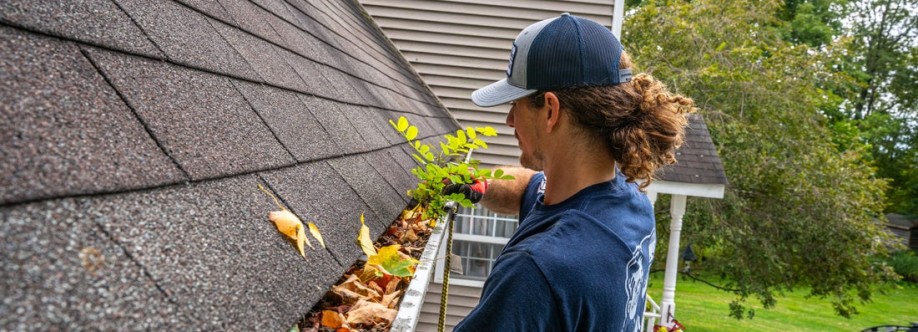 TheGutterGuys Cover Image