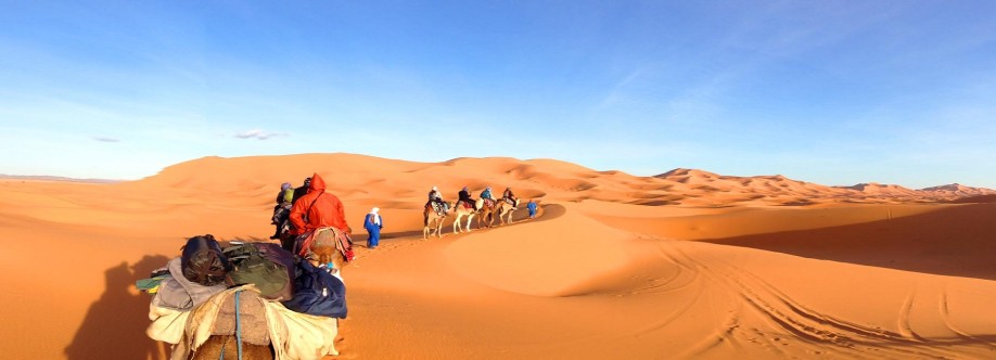 EasyGo Tours Cover Image