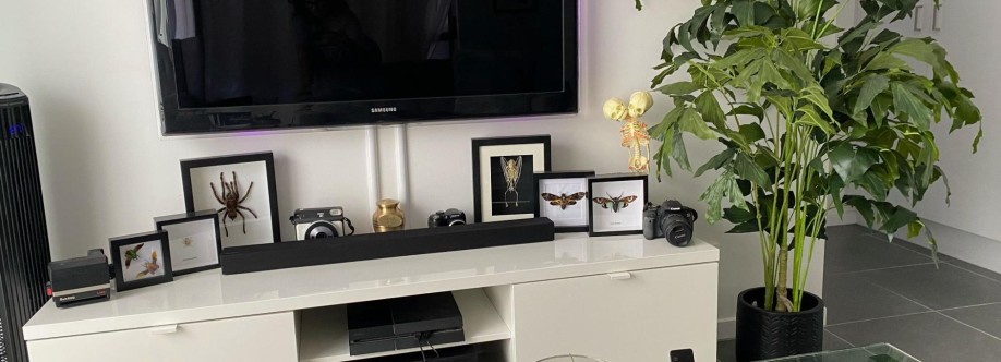 Designer Vertical Gardens Cover Image