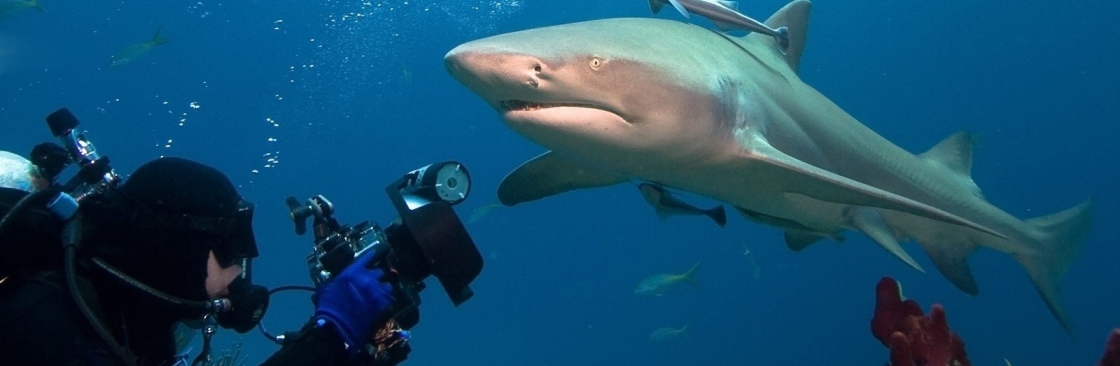 gunghodiving Cover Image