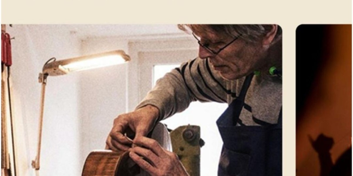 Zager ZAD900E: The Perfect Companion For Guitarists