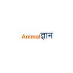 animal gyan Profile Picture