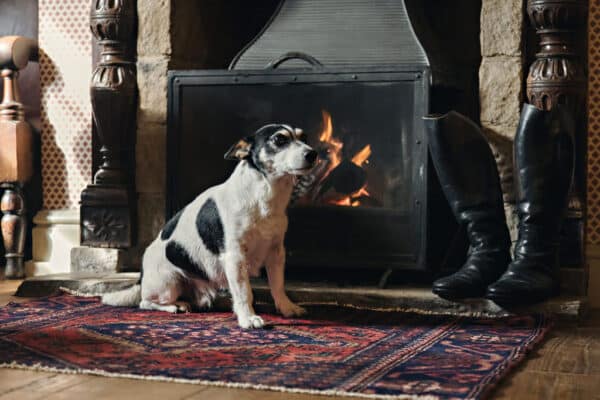 Pet-Friendly Stays in Ryedale | White Swan Inn