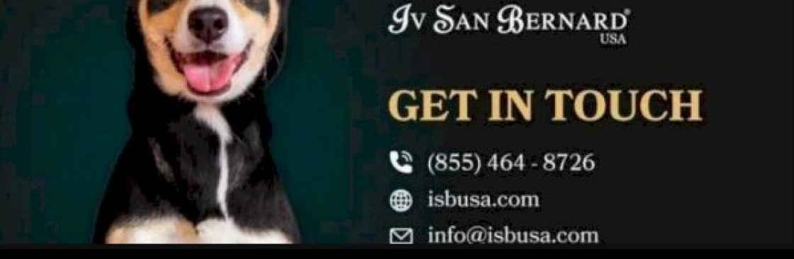 Iv San Bernard USA Cover Image