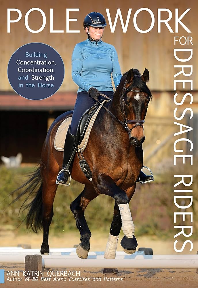 Best Dressage Saddles