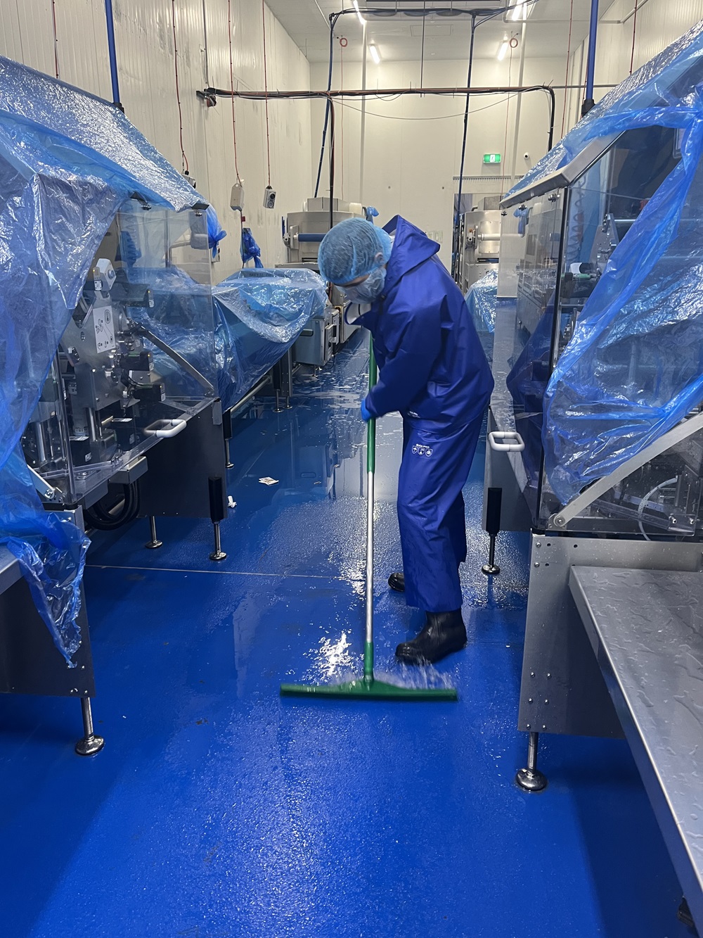 Maintaining Hygiene and Sustainability with Expert Seafood Plant Cleaning
