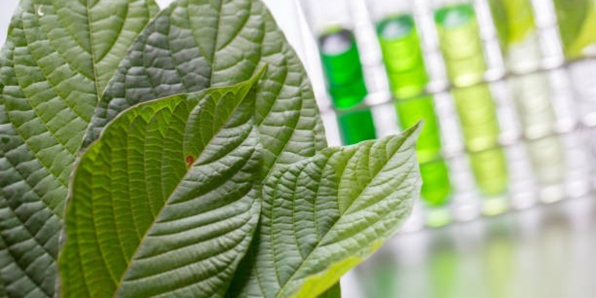 Lignin Market Dynamics: Regional Breakdown and Analysis 2024-2032