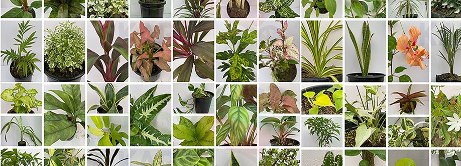 Nursery Kart Cover Image