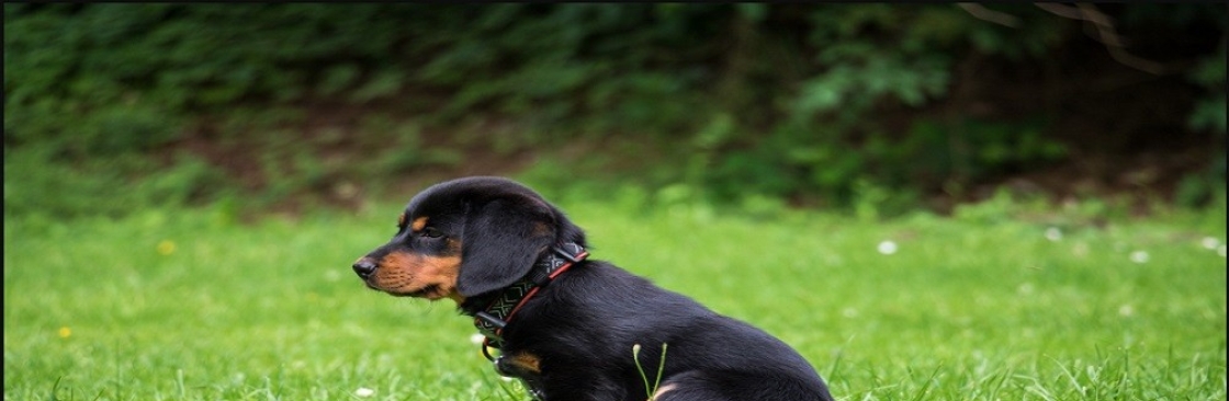 Chien Souriant Cover Image