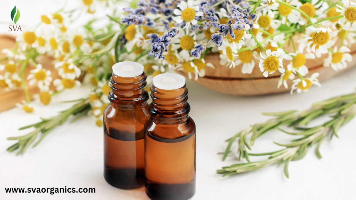 How Can I Find a Reliable Organic Essential Oil Bulk Supplier in the USA? – SVA Organics
