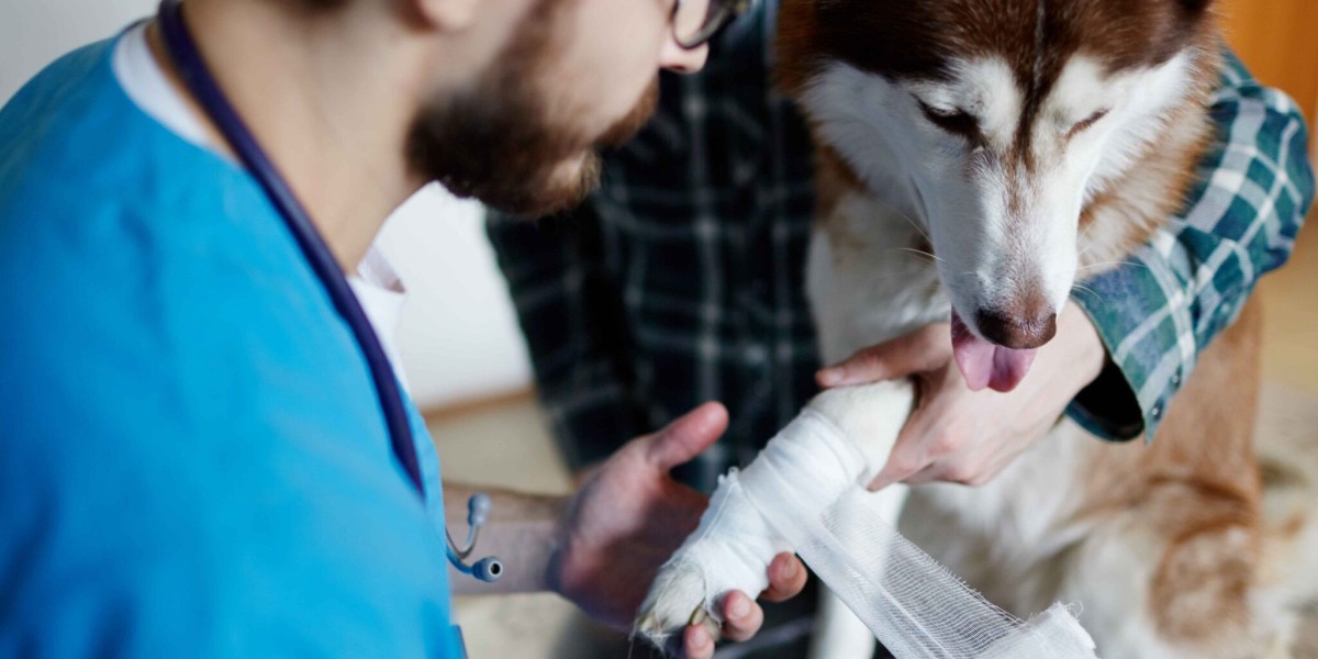 Fractures, Seizures  More: Why an Emergency Veterinarian Service Is Crucial for Pets