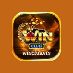 winclub vin Profile Picture