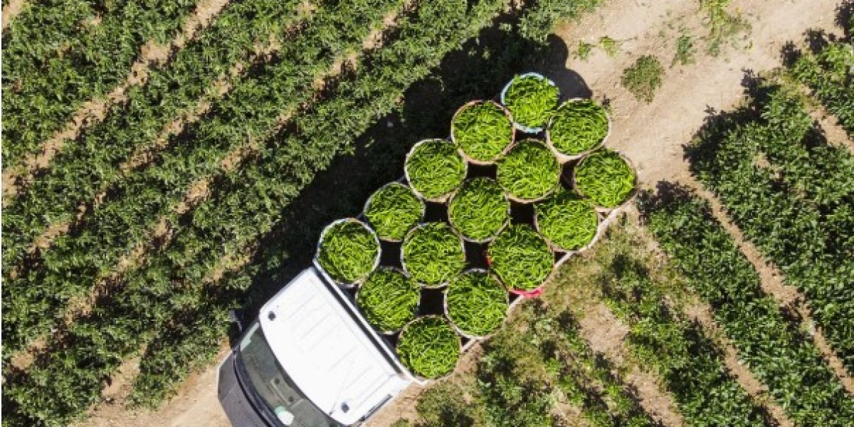 Sustainability in the Food and Beverage Sector: A Business Take