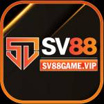 SV88 Profile Picture