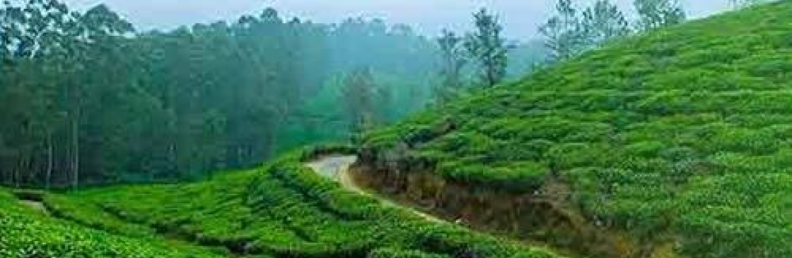 Ooty Heritage Tours And Travels Cover Image