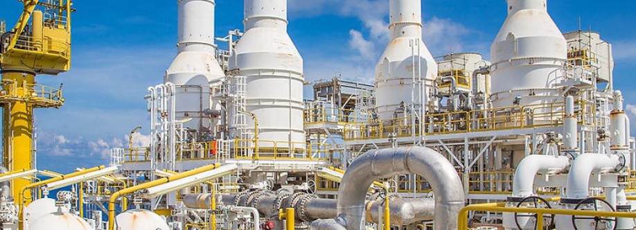 Trinkets Institute Cover Image