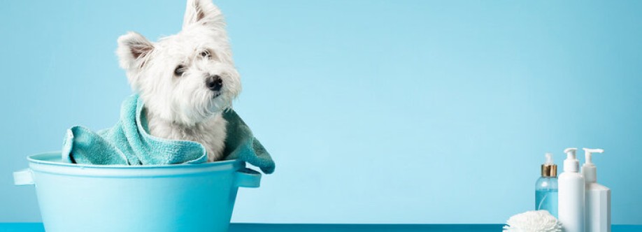 Dog Hair Dont Care REDMOND Cover Image