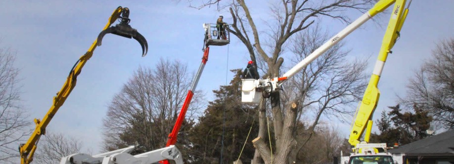 Texas Tree Expert Cover Image